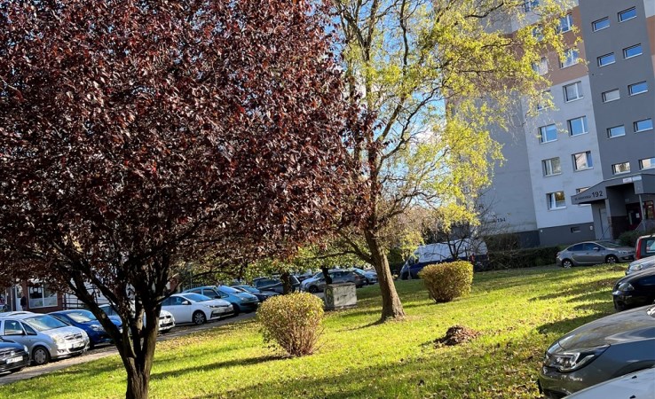 mieszkanie na wynajem - Katowice